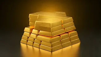 Indian Equities Soar: Rs 1 Lakh Crore Invested in 2025