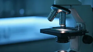 Telangana Declares Cancer a Notifiable Disease: A Public Health Milestone