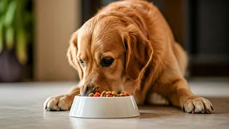 How Vet-Approved Fresh Meals Upgrade Indian Canine Health Profiles