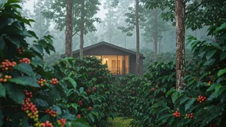 Monsoon Discounts Make Coorg Romance More Affordable
