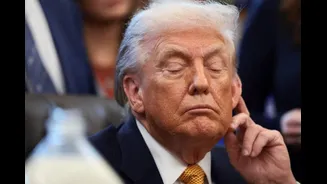 Trump Slaps 10% Tariff On European Countries Over Greenland, Warns Of 25% Hike By June