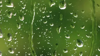 The Hidden Problem After Heavy Rains: Excess Moisture Inside Your Home