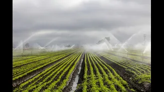 Sustainable Agriculture: Healthy Soil and Water in India