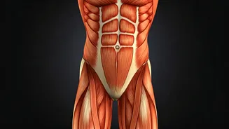 Shilpa Shetty's Stability Challenge: Master Core, Inner Thighs & Pelvic Control