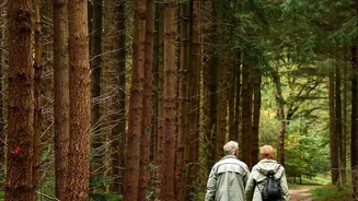 Social Fitness Expansion: How Walking Clubs Are Organising Weekend Nature Trail Walks