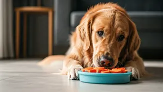 Keep Your Dog Active Inside