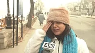 Woman Tourist In Kashmir 'Confuses Fog As Pollution'; Gets Slammed By Netizens: '..She Might Choke In 44 AQI'