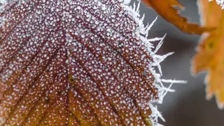Why Last-Minute Weather Checks Matter More for September Getaways
