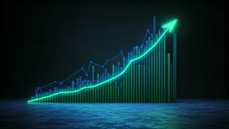 6 Stocks That Defied Market Turmoil in 2025