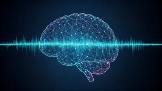 Related Stories banner