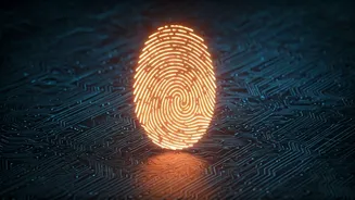 Navigating Website Security: Understanding Bot Verification Processes