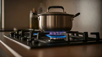 Fueling Your Kitchen: 5 Indian Dishes That Burn Through LPG Cylinders Fast