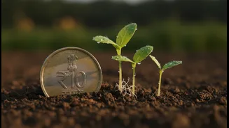 Indian Money Planning Needs A Monsoon And Food-Price Watchlist