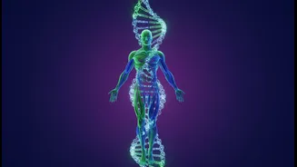 Preventive Fitness Policy: the evidence, the opportunity and the limits