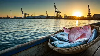Kochi: India's Unrivaled Seafood Capital and Its Maritime Might