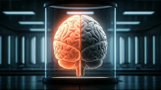 Related Stories banner