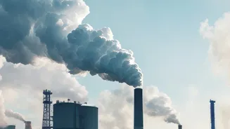 Post-Monsoon Pollution: Why Crop Residue Burning Remains A Concern