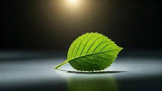 Unlock Your Inner Power: 5 AM Affirmations for a Confident & Peaceful Day