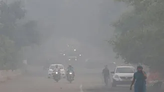 Delhi Air Pollution Protests Lead To Arrests