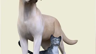 Tier-2 Cities Are Getting More Petcare Options As India’s Pet Economy Expands