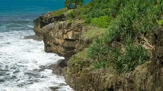 Why Working From Varkala Cliffs Offers An Unbeatable Mix Of Cheap Rent And Connectivity