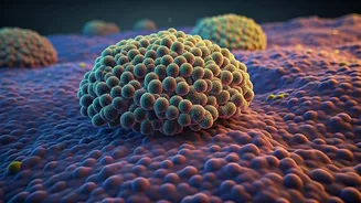 Gut Diversity Is The New Anti-Hype Wellness Trend
