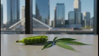Why urban fitness enthusiasts embrace eco-friendly footprint of pea and hemp milks