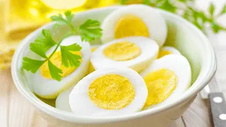 Ovo e colesterol alto: entenda o que mudou nas recomendações