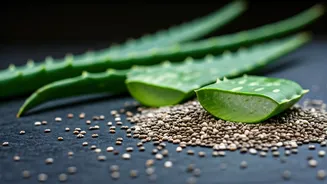 Aloe Vera & Chia Seeds: Your Hair's New Best Friends!