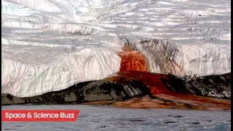 Science & Space Roundup: Top News of the Day (Feb 11)