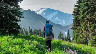 The Best Hiking Routes In Sweden For Experiencing Majestic Scandinavian Wilderness Up Close