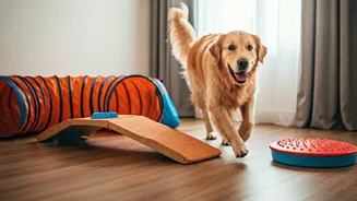 Creative Pet Parents Fight Summer Heatwaves Via Sensory Agility Courses