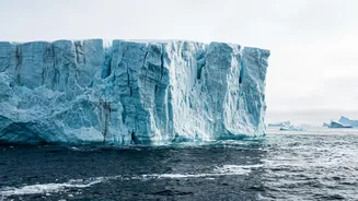 Thwaites Glacier Sea-Level Study and a Projection Roughly Double an Earlier Estimate: a Closer Look