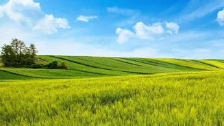 A Healthy Soil Can Support More Stable Yields Across Difficult Seasons