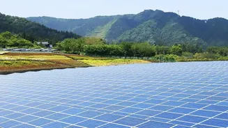 India's Latest Agrivoltaics Drive Gives Water Use More Weight in the Decision