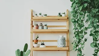 Why Fewer Larger Objects Is Central To The Over-Styled Shelf Trend Reversal