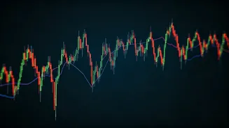 Market Volatility: Expert Insights for the New Year