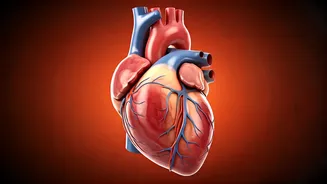 Related Stories banner