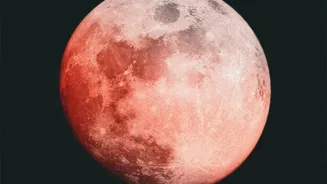 How to Focus Your Camera for a Clearer Picture of the Moon During an Eclipse