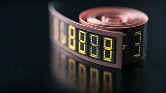 Meesho IPO: Navigating Allotment, Predicting Gains