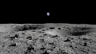 Scientists Say Microbial Survival Does Not Mean the Moon Can Sustain Earth Life