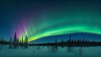 Alia Bhatt's Aurora Dream: 5 Top Spots for a Spectacular Northern Lights Experience