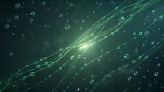 Manisha Koirala's Lymphatic Drainage Massage: Unveiling Its Detox and De-puffing Benefits