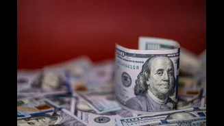 Dólar opera estável, mas Bolsa desaba com tarifaço e petróleo