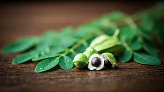 Moringa Can Help Your Hair Grow Naturally
