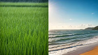 Assam And Goa Celebrate The Rains Differently