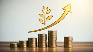 Pension Credit Window Extends For Indian Professionals