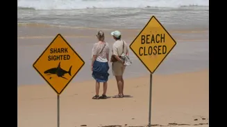'Just Go To Local Pool': Australian Authorities To Beachgoers After 4 Shark Attacks In 48 Hours
