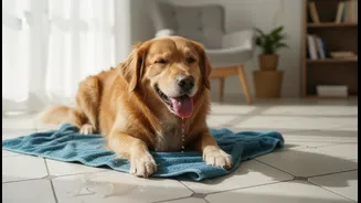 The Useful Indian Angle in Indoor Pet Overheating in Humid Homes Is Cooling