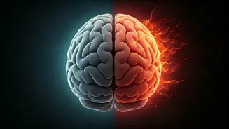 Unmasking Seizure Triggers: How Sleep Loss and Stress Quietly Inflame Your Brain